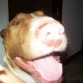 SOY LINDO¡¡¡¡¡¡